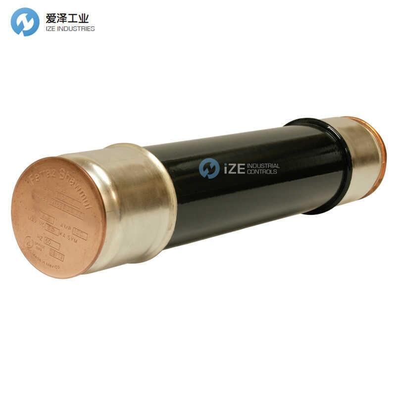 GE熔断器9F62DCB100