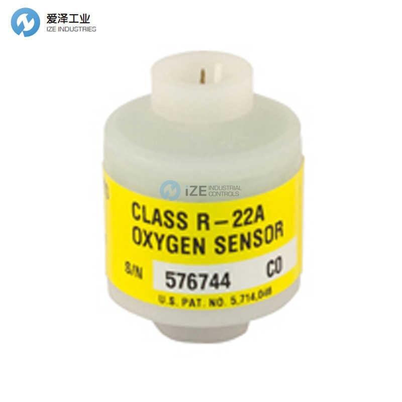 TELEDYNE氧传感器R-22A