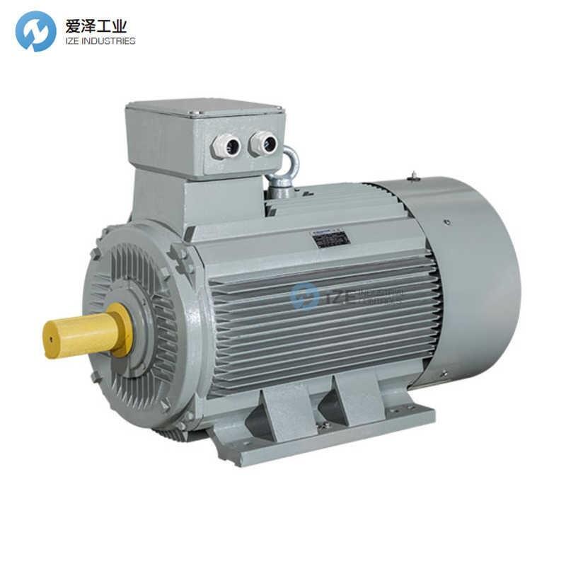 AC-MOTOREN电机配件-叶片AC.L?FTH.63N