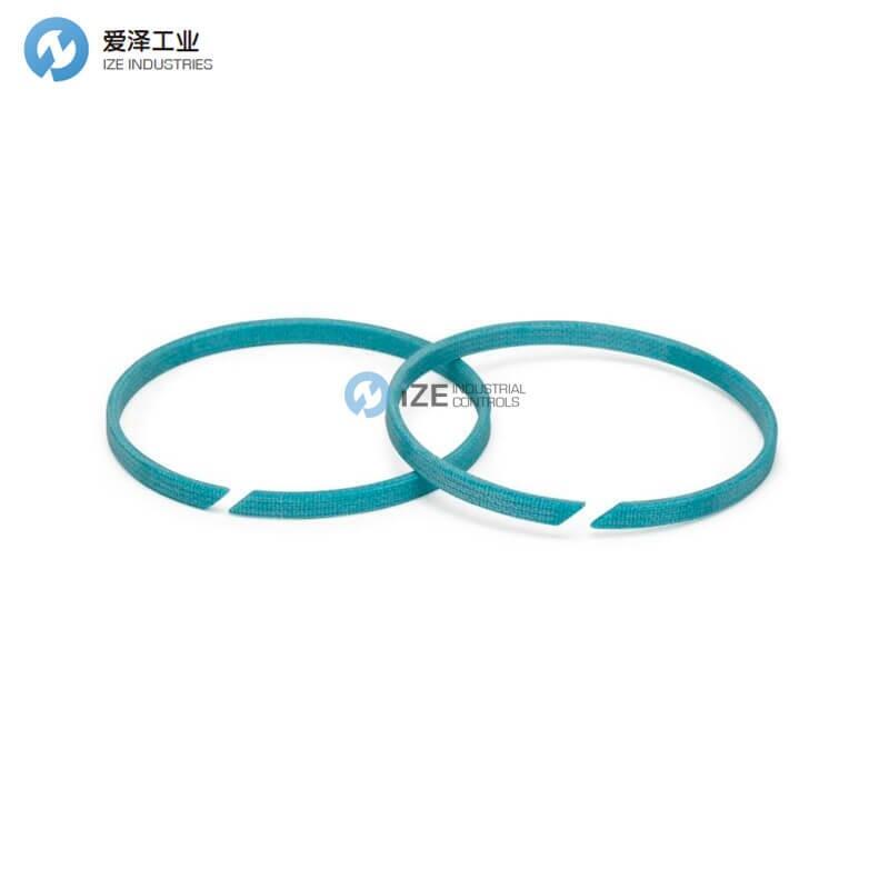 BUSAK+SHAMBAN导向带GR6901120-C380