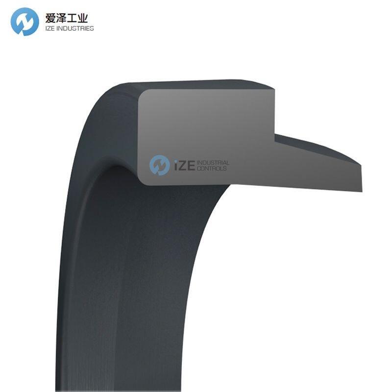 BUSAK+SHAMBAN(B+S)防尘封WAP002000-N9T60