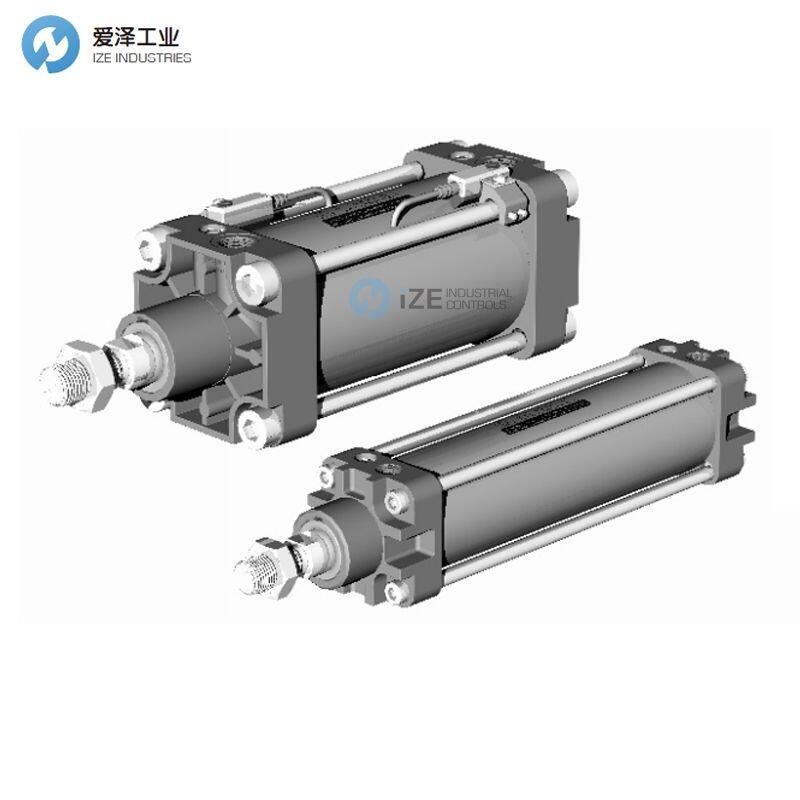 SKYWISH气缸QGS100*50 BSD