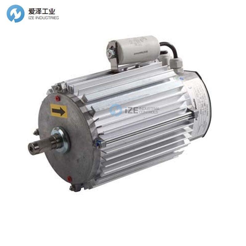 FLAKTWOODS电机CT932170