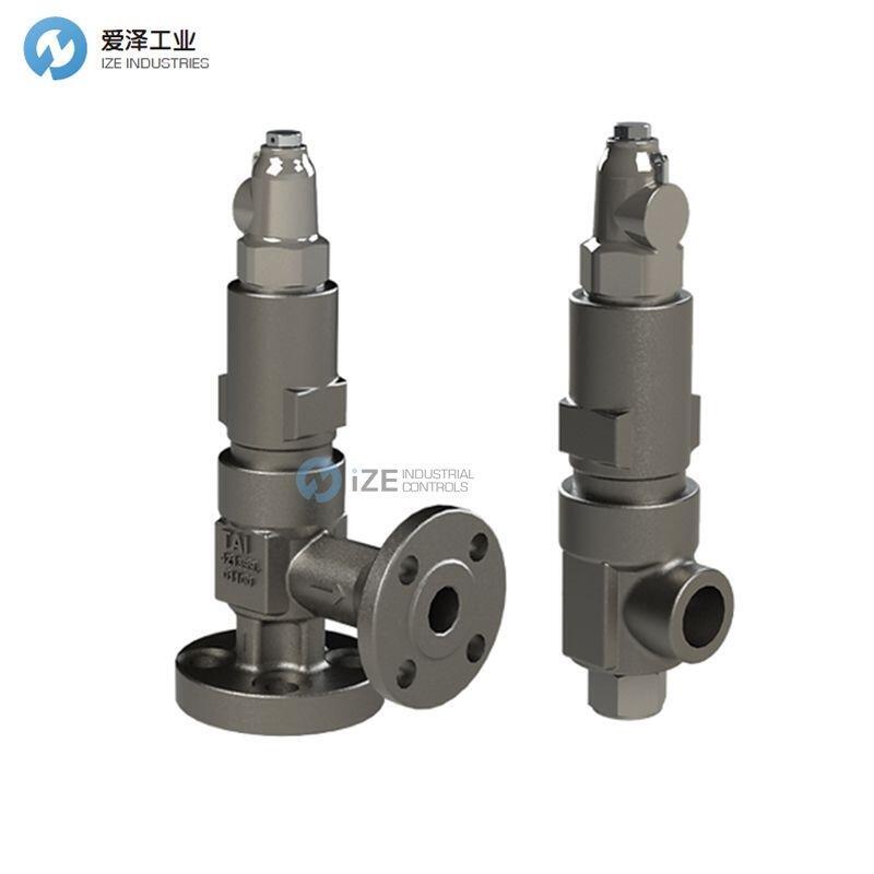TAI安全阀4000-3/4 D1