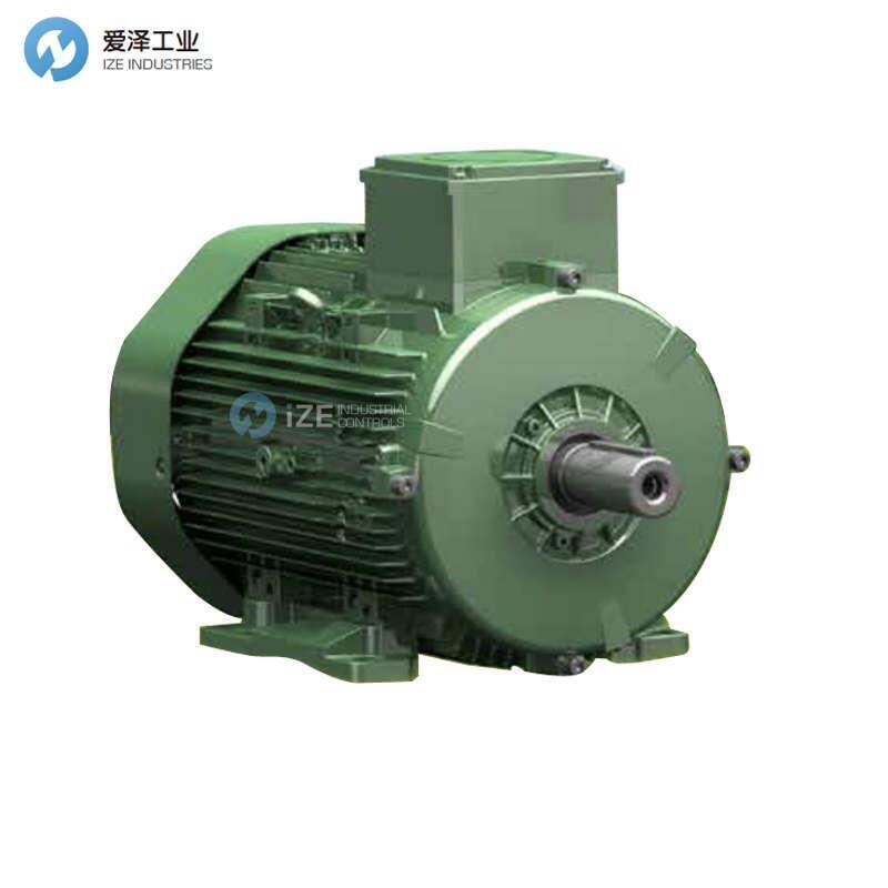 TEE电机Q3HFC100L4D-40H