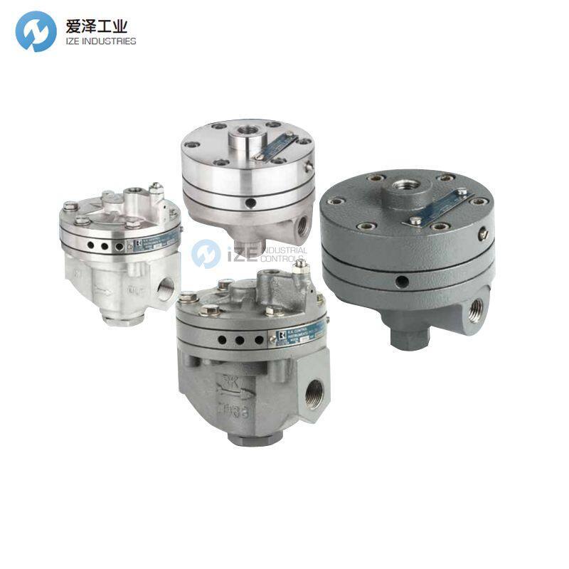 RK CONTROL放大器1000 1/4”