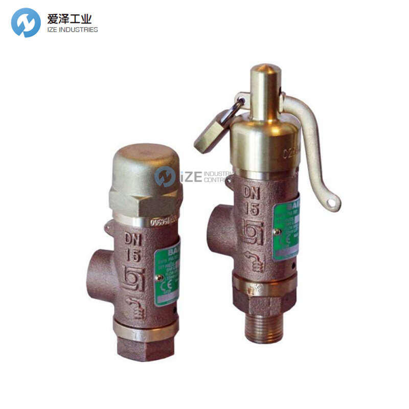 BAILEY安全阀70752EL