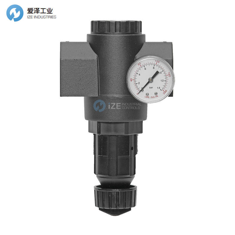 MASTER PNEUMATIC调节器R180-2H