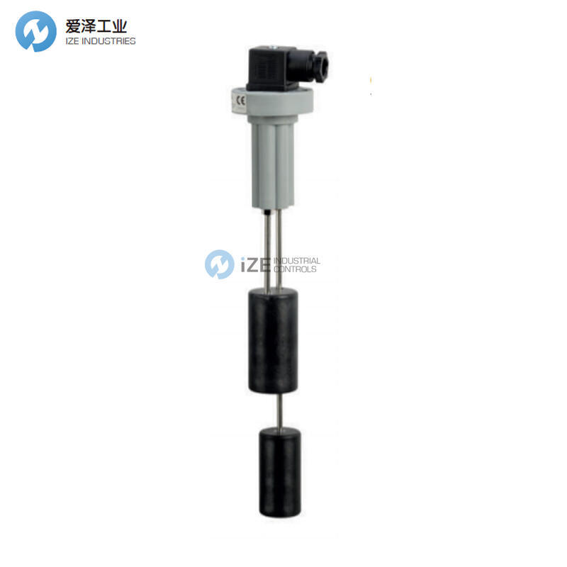 F.LLI GIACOMELLO液位开关RL/G2-F3-S2+S2-1000-0002