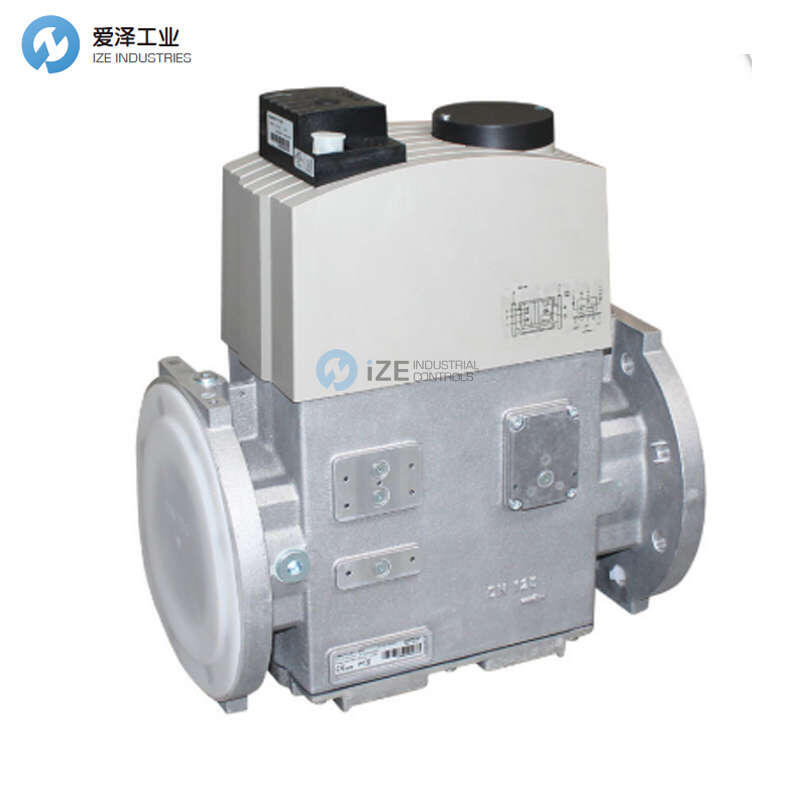 DUNGS电磁阀DMV5125/11 250365