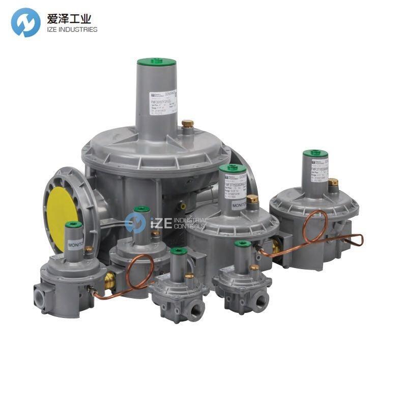 PIETRO FIORENTINI燃器调压阀FMF301640007AB