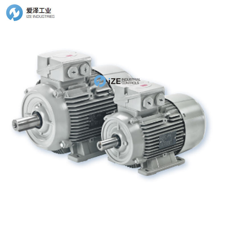 ELEKTRA电机13AA132MO2-V 1910357