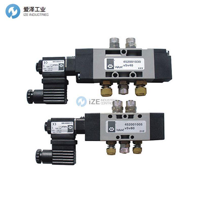 WAMGROUP阀V5V80X11050