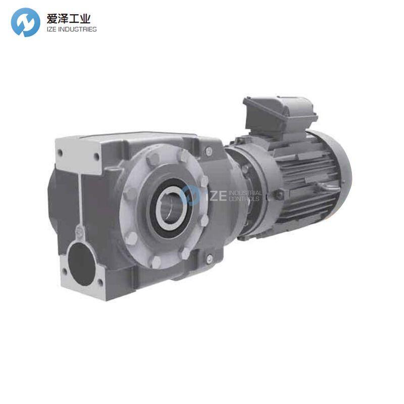 RADICON减速机C032116.WGHG1