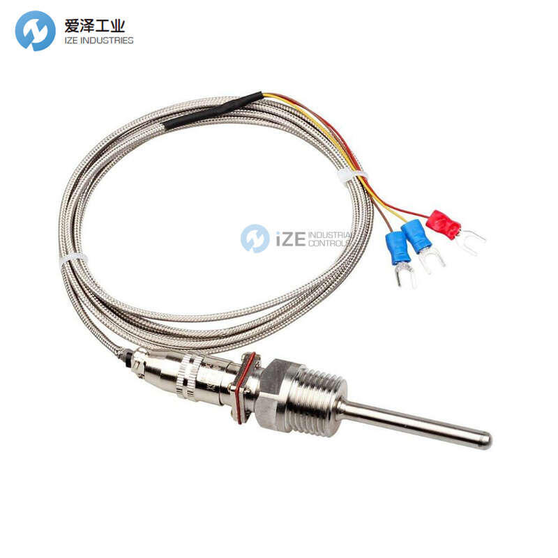 TERMICS热电偶013289