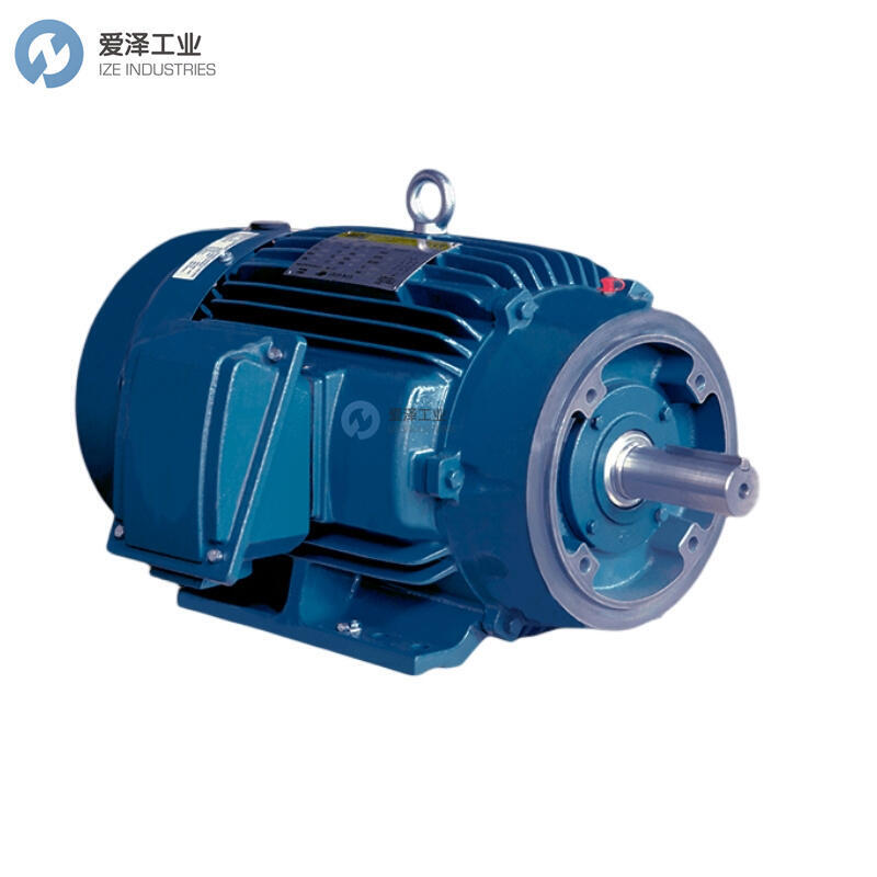 WORLDWIDE ELECTRIC电机LAM25-18-284TC