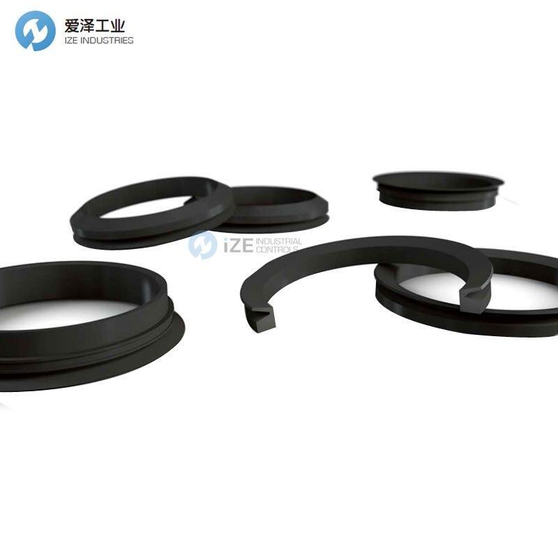 BUSAK+SHAMBAN密封TWVA05500-VDT50