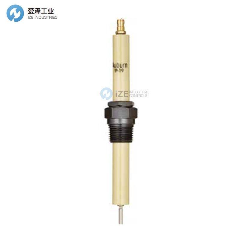 MAXON点火电极25663