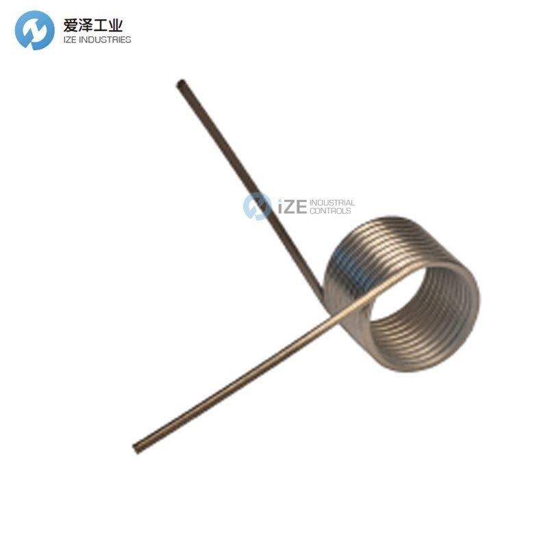 ASRAYMOND弹簧T系列