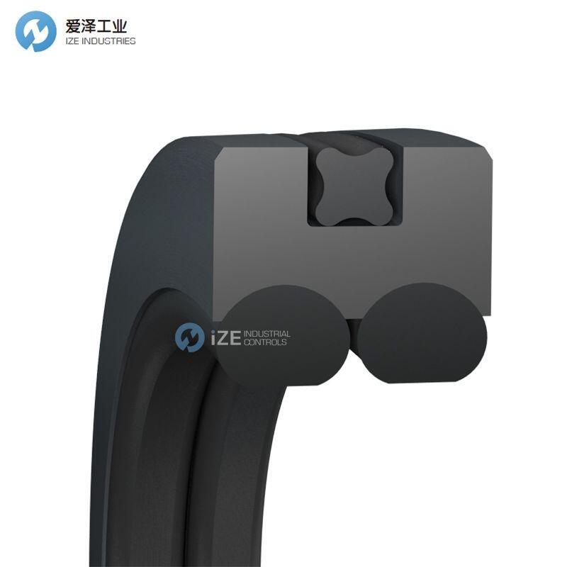 BUSAK+SHAMBAN（B+S）格莱圈PQ0201250-T46N