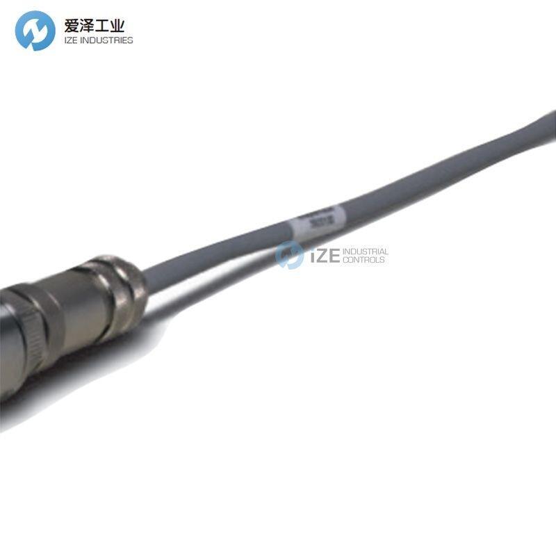 LUMASENSE电缆3 920 030