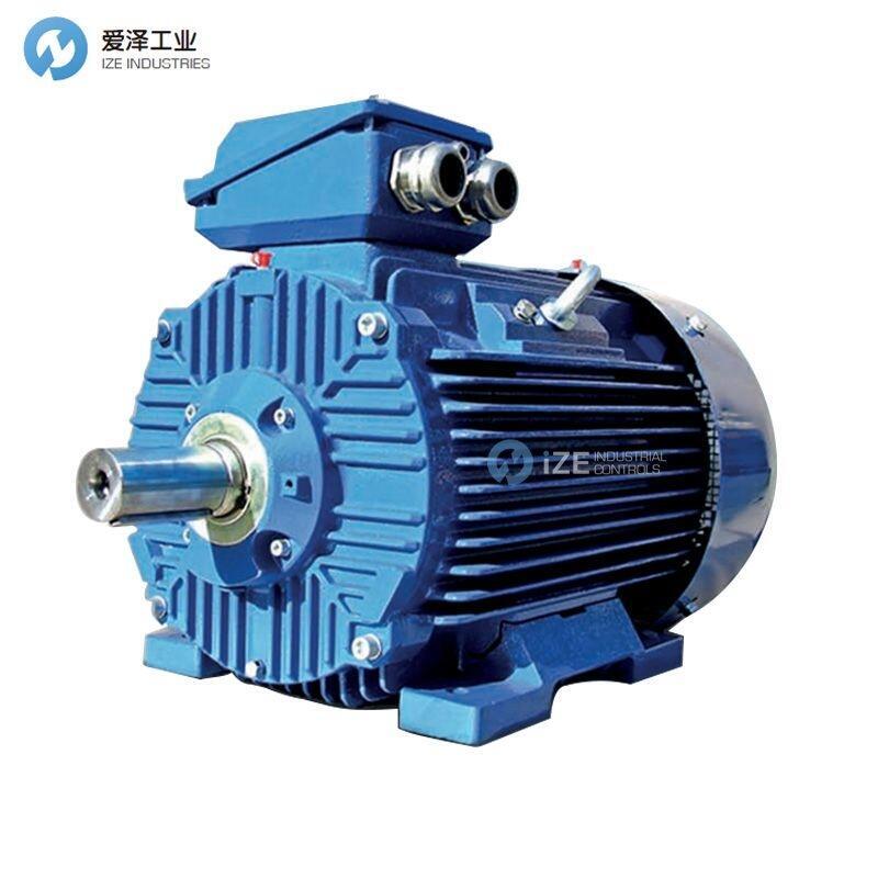 CANTONI电机3SIEK160M-4