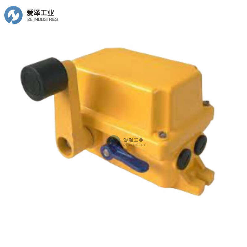 DUK错位开关LHP-EX12-L50-S