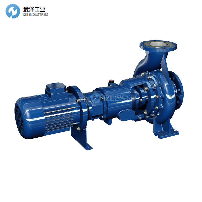 SALVATORE ROBUSCHI离心泵RNL 80-25A 4B75 M135 1/A