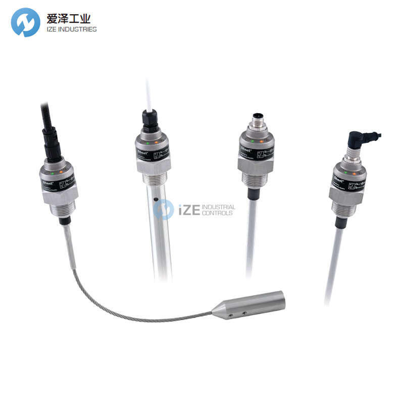 DINEL液位计DLM-35N-22-G1-I-C-E800