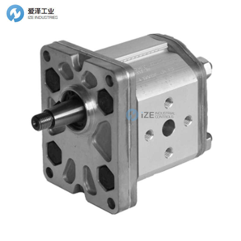 DUPLOMATIC齿轮泵GP2-0140R95F/20N