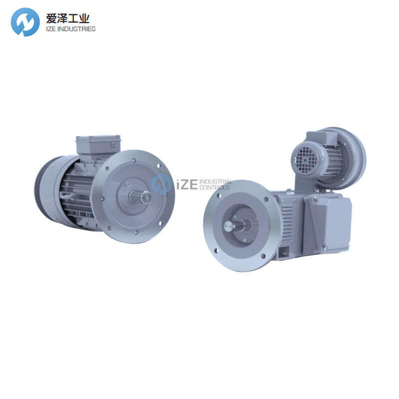 WINKELMANN电机GNRFZE132/3