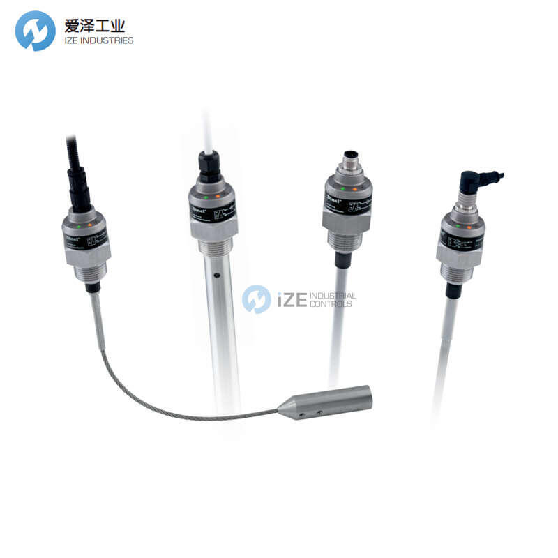 DINEL液位计DLM-35N-40-G1-I-C-E1000