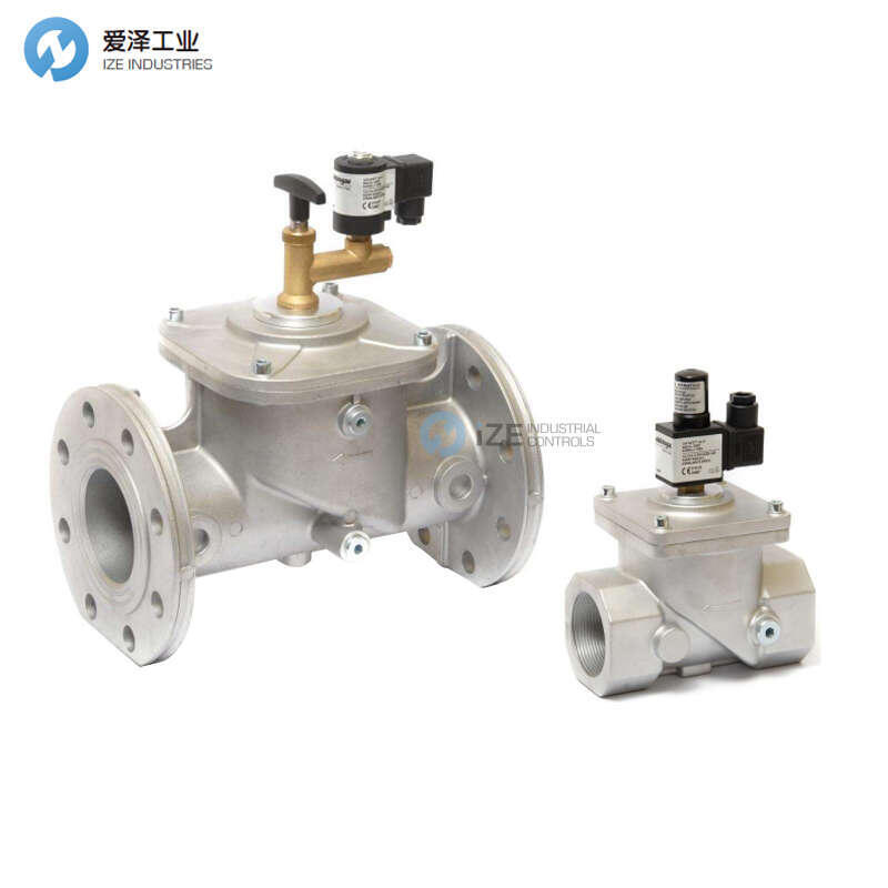 ELEKTROGAS安全阀EVRM6NA98