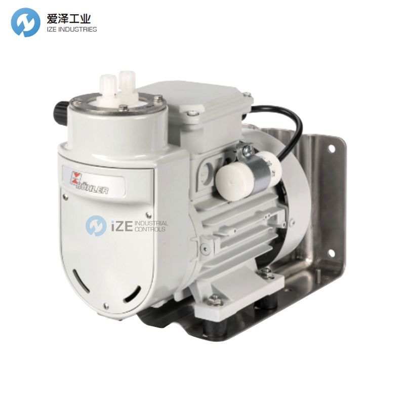 BUHLER取样气泵4256123299000