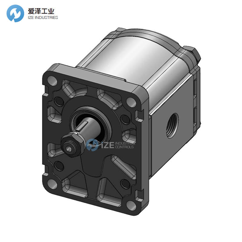 B&C齿轮泵BG2008ST0AT80GG4D00