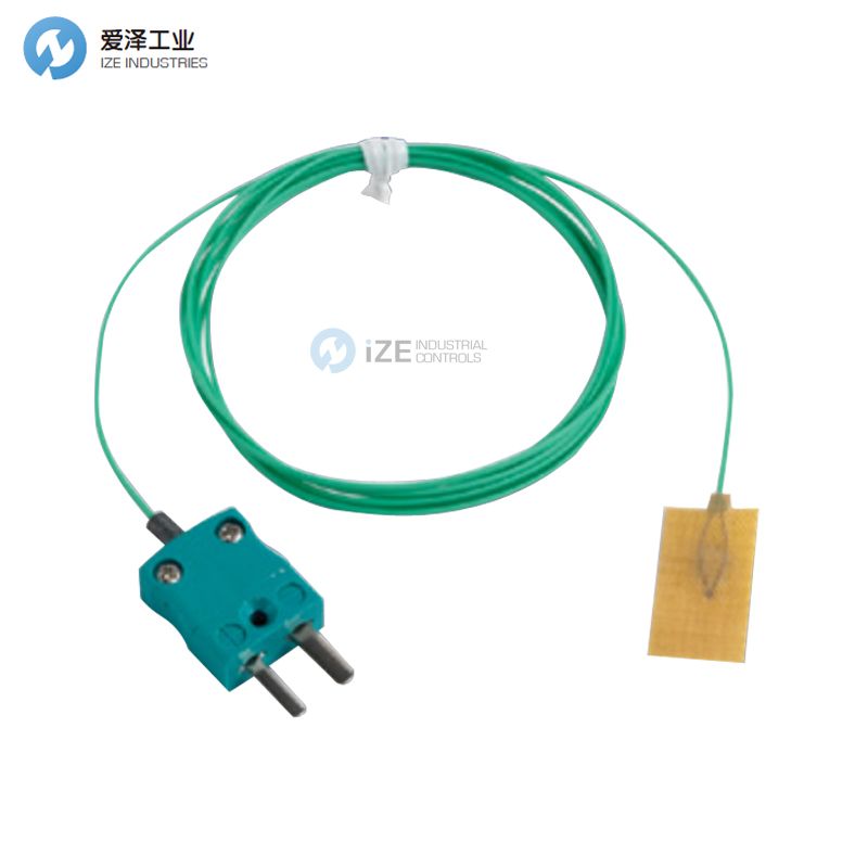 DATAPAQ热电偶PA0831