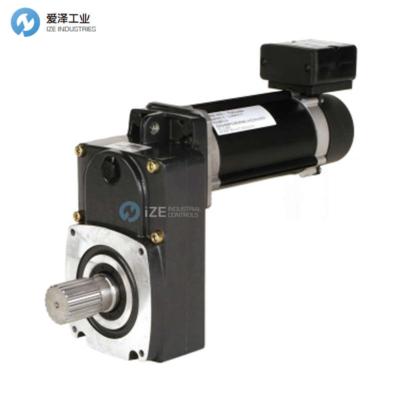 R&M起升电机50001110