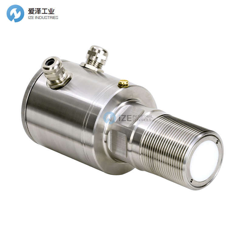 WITRONIC流量开关FS510M