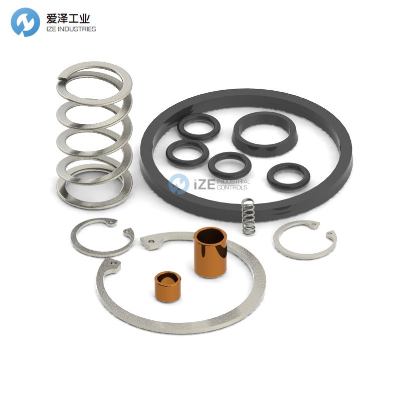 BIFFI维修包G12201204001