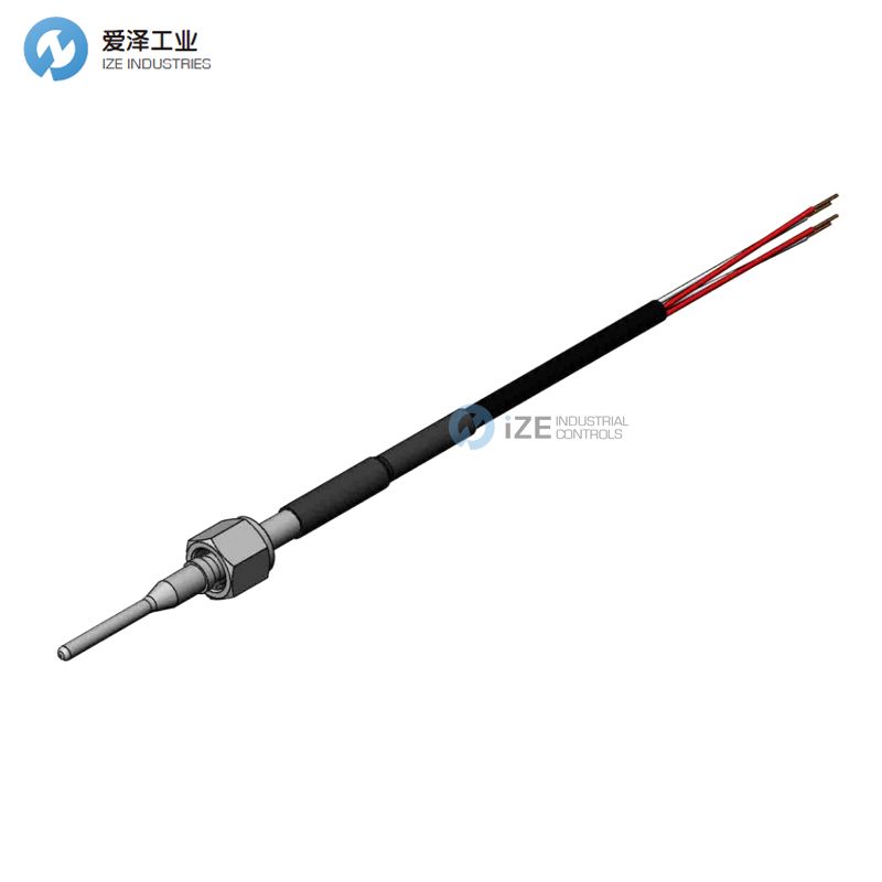 PENTRONIC热电偶5810184-001
