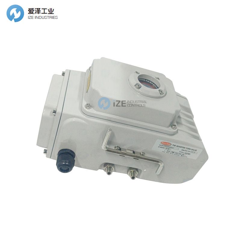 RECO-INOX阀ERVC100-8300300-10C